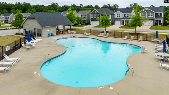 1331 Tamarind Lane, Chapin, SC 29036