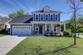 1331 Tamarind Lane, Chapin, SC 29036