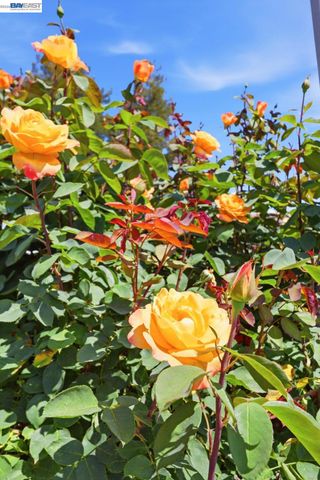 40930 Rioja Ct, Fremont, CA 94539