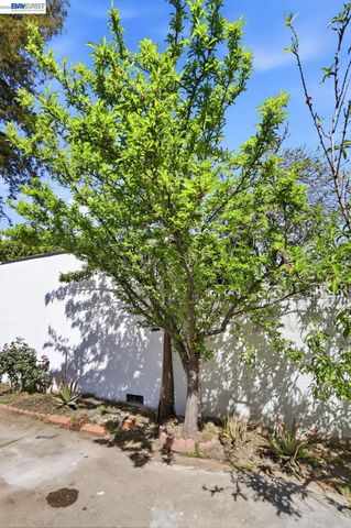 40930 Rioja Ct, Fremont, CA 94539