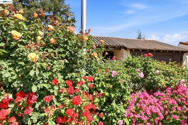 40930 Rioja Ct, Fremont, CA 94539