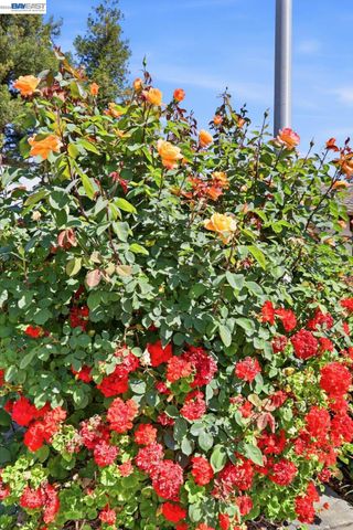 40930 Rioja Ct, Fremont, CA 94539