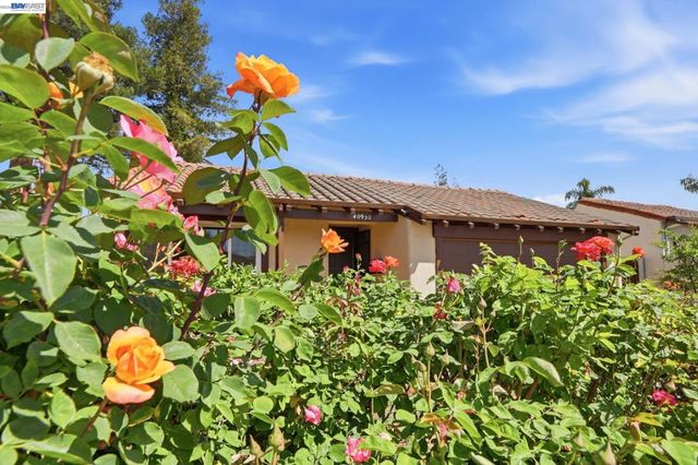40930 Rioja Ct, Fremont, CA 94539