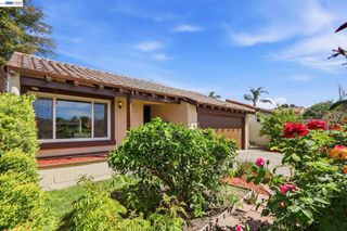 40930 Rioja Ct, Fremont, CA 94539