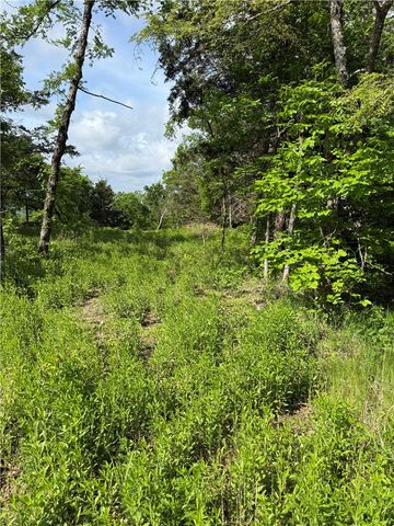167 Holiday Island Drive, Holiday Island, AR 72631