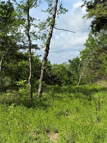 167 Holiday Island Drive, Holiday Island, AR 72631