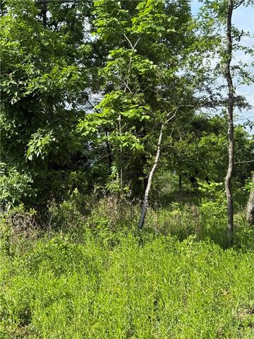 167 Holiday Island Drive, Holiday Island, AR 72631