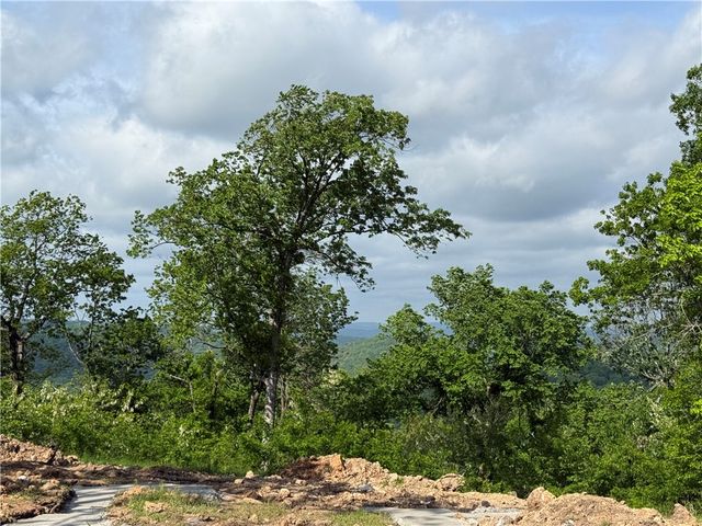 167 Holiday Island Drive, Holiday Island, AR 72631