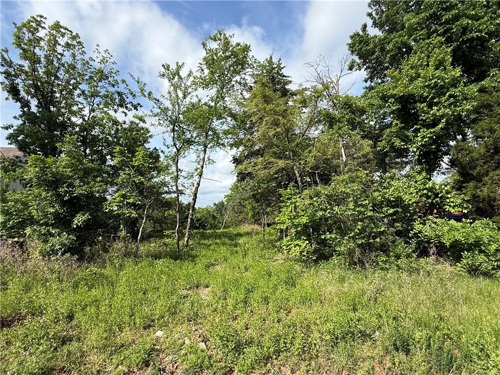 167 Holiday Island Drive, Holiday Island, AR 72631