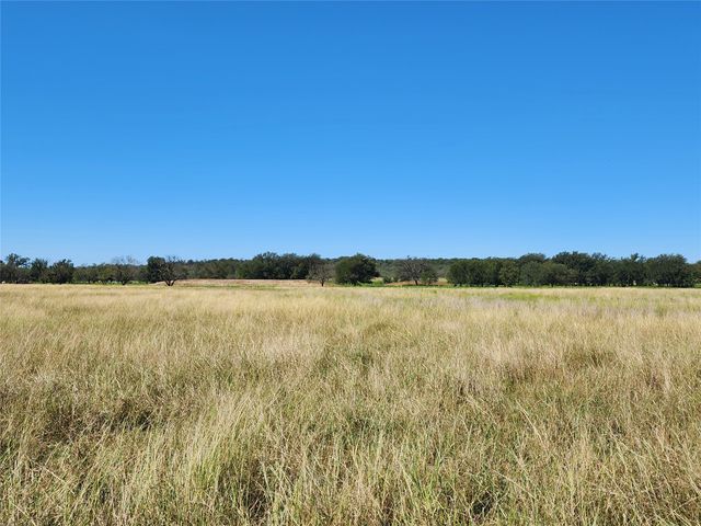 TBD FM 1176 S, Santa Anna, TX 76878