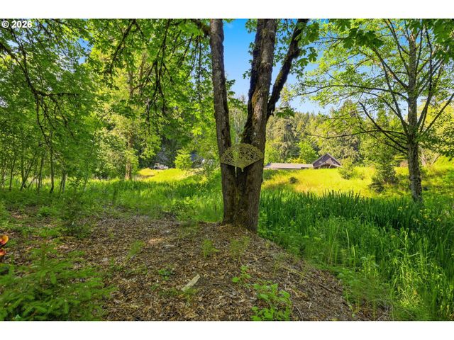 41895 HOLDEN CREEK Ln, Springfield, OR 97478