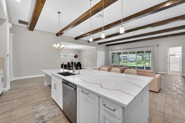 155 SABAL BREEZE COURT, Brandon, FL 33511