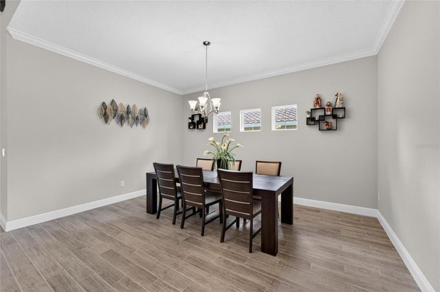 155 SABAL BREEZE COURT, Brandon, FL 33511