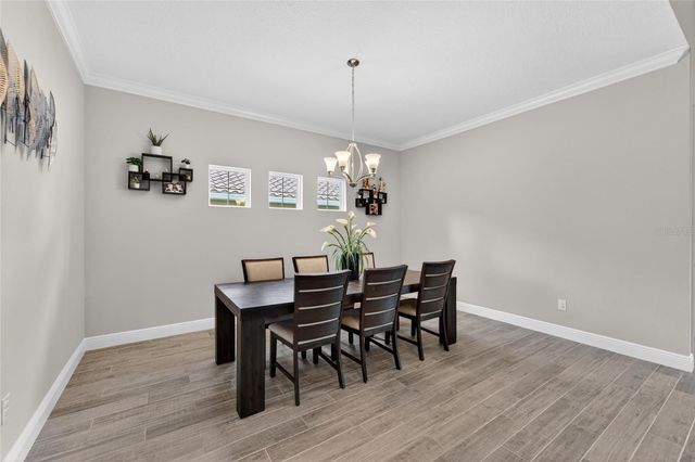 155 SABAL BREEZE COURT, Brandon, FL 33511