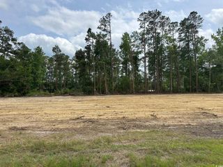 TBD 2 Saint John Rd., Galivants Ferry, SC 29544
