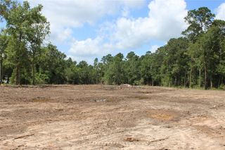 TBD Highway 150, Coldspring, TX 77331
