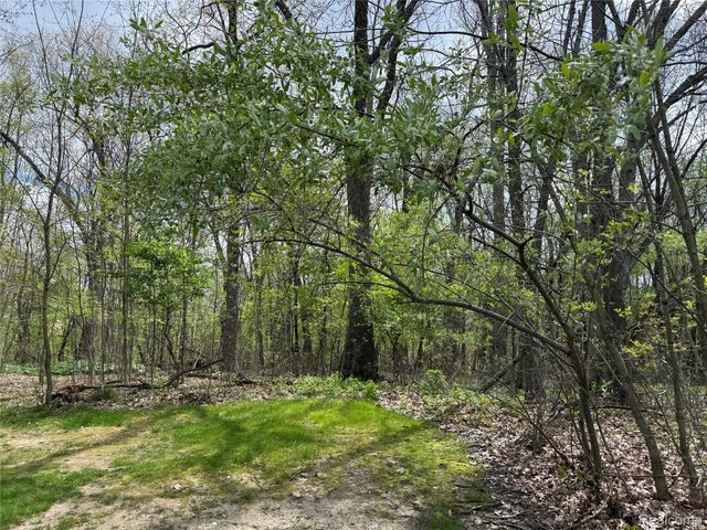 Lot 25 Hidden Ridge Trail, Tyrone Township, MI 48430