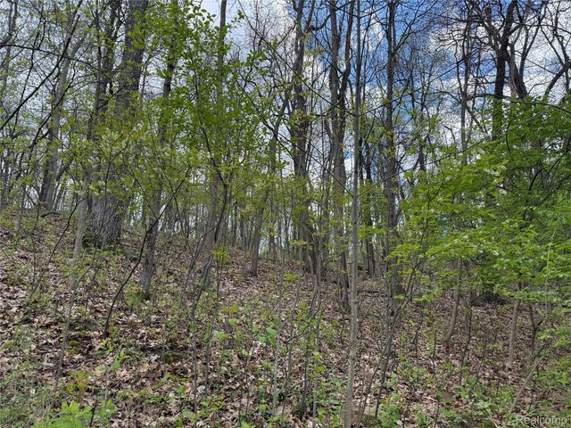 Lot 25 Hidden Ridge Trail, Tyrone Township, MI 48430