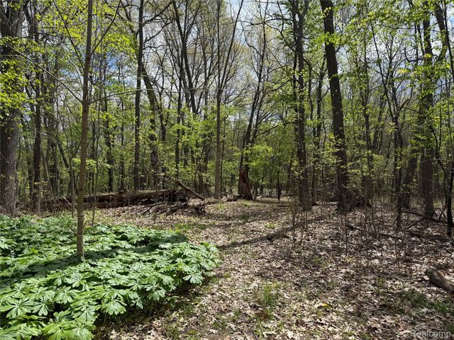 Lot 25 Hidden Ridge Trail, Tyrone Township, MI 48430