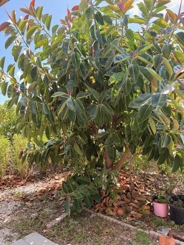 6767 SAN CASA DRIVE 35, Englewood, FL 34224