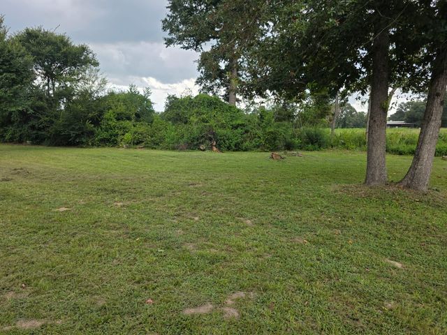 11656 Oak Moss Ln, Willis, TX 77378