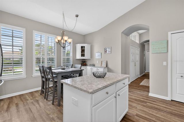 8011 PINE HOLLOW DRIVE, Mount Dora, FL 32757