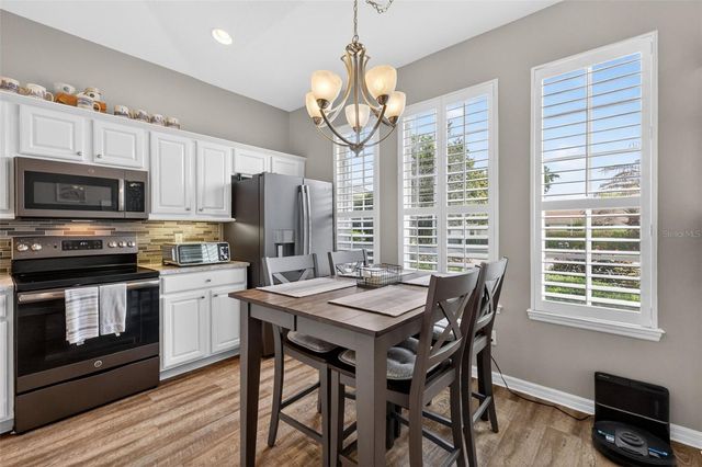 8011 PINE HOLLOW DRIVE, Mount Dora, FL 32757