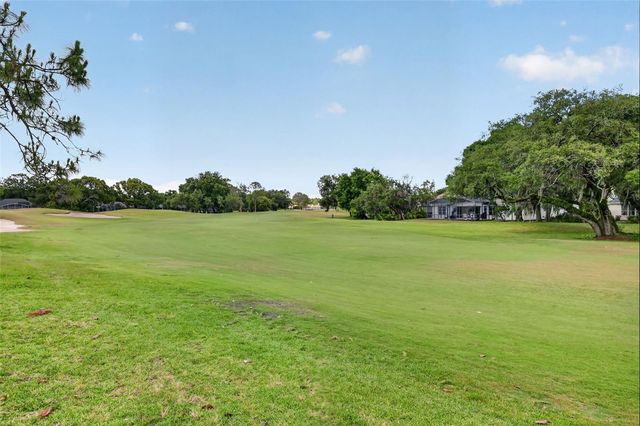 8011 PINE HOLLOW DRIVE, Mount Dora, FL 32757
