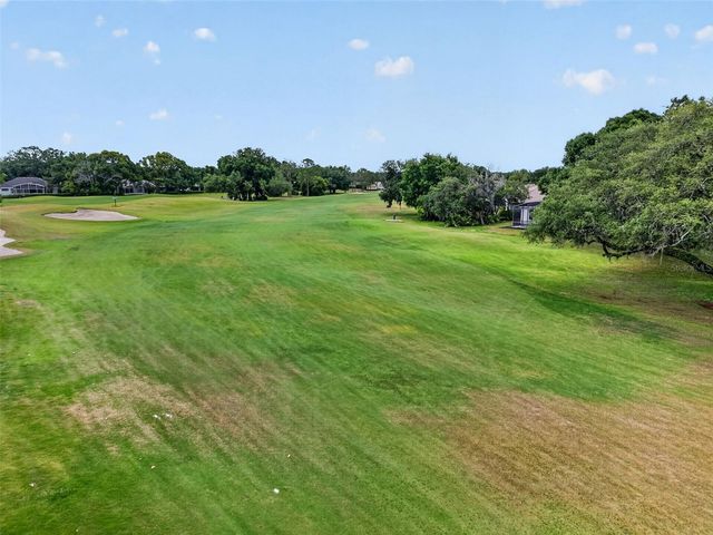 8011 PINE HOLLOW DRIVE, Mount Dora, FL 32757