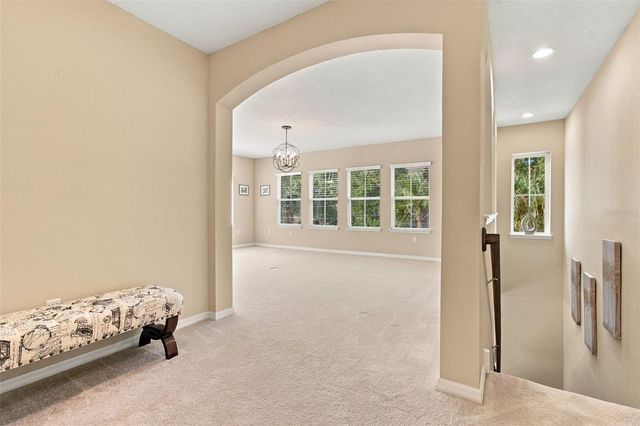 17030 VILESTA DRIVE, Lutz, FL 33548