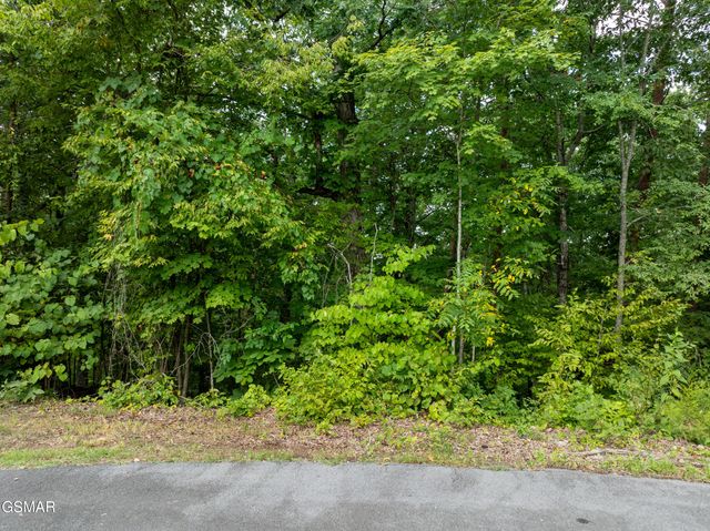 Lot 56 Blue Byrd Lane, Kodak, TN 37764