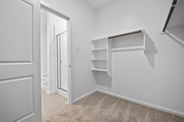 24657 Monarch Forest Drive, Porter, TX 77365