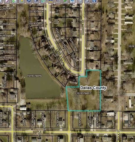 0 Warren Street, De Soto, IA 50069