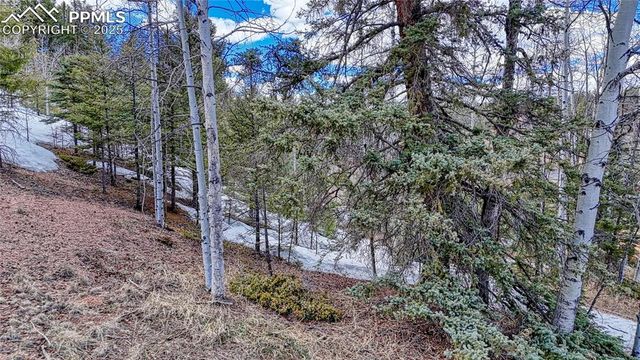244 Spring Valley Lane, Florissant, CO 80816