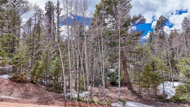 244 Spring Valley Lane, Florissant, CO 80816