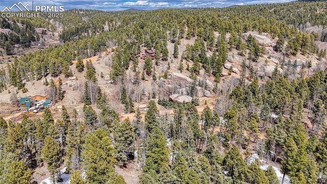 244 Spring Valley Lane, Florissant, CO 80816
