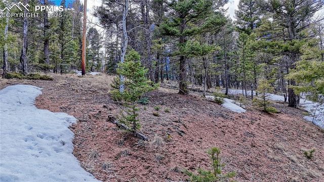 244 Spring Valley Lane, Florissant, CO 80816
