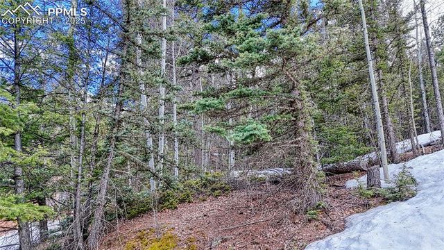 244 Spring Valley Lane, Florissant, CO 80816