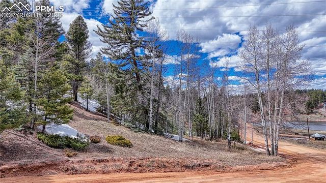 244 Spring Valley Lane, Florissant, CO 80816
