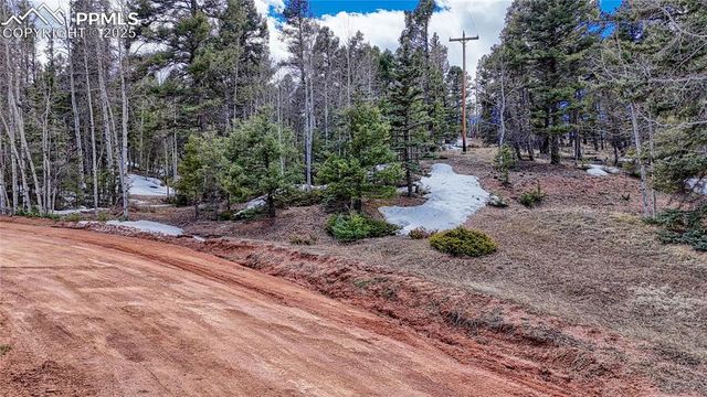 244 Spring Valley Lane, Florissant, CO 80816