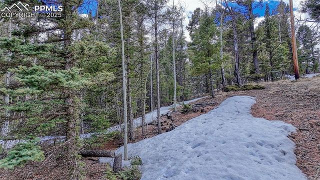 244 Spring Valley Lane, Florissant, CO 80816
