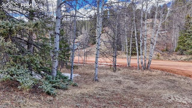 244 Spring Valley Lane, Florissant, CO 80816