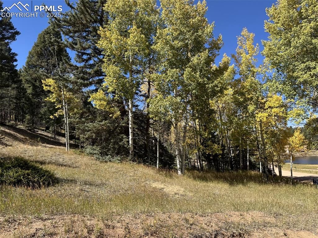 244 Spring Valley Lane, Florissant, CO 80816