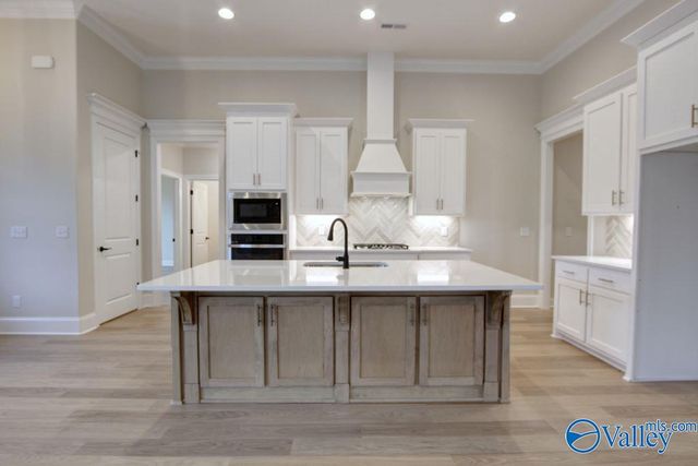 12392 Narayan Street, Madison, AL 35756