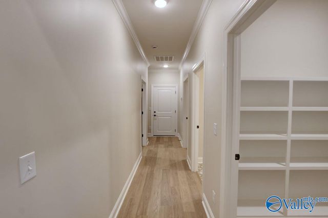 12392 Narayan Street, Madison, AL 35756