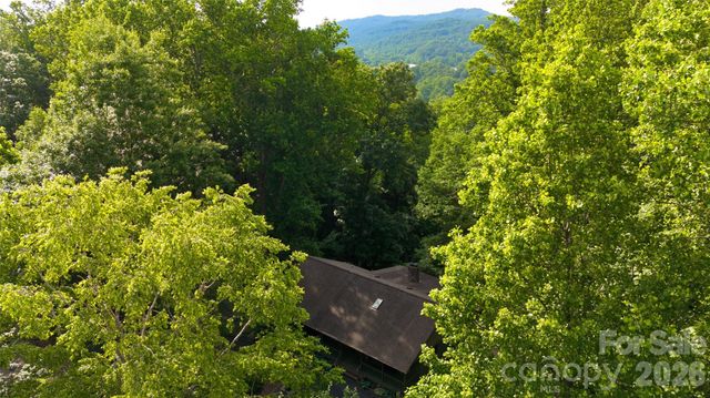 383 Ravenwood Lane, Horse Shoe, NC 28742