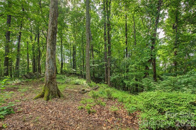 383 Ravenwood Lane, Horse Shoe, NC 28742