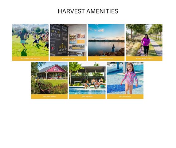 117 Birdcall Lane, Argyle, TX 76226