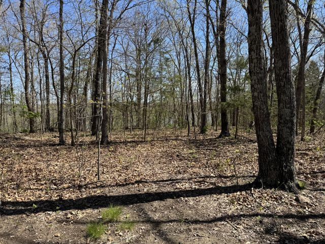 000 East 325th Road, Flemington, MO 65650