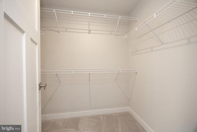 229 SUGAR MAPLE SQ, Downingtown, PA 19335